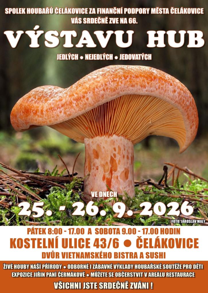 Výstava hub v&nbsp;Čelákovicích